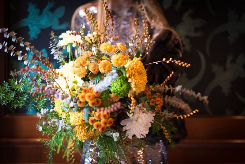 chrysant